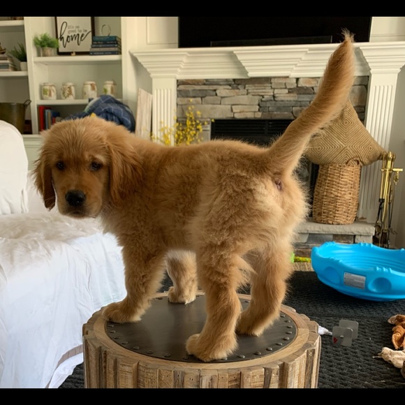 Meet your Posher, Kate - Picture 9 of 9